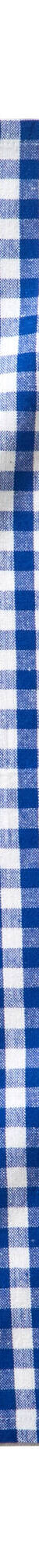 Katoenen droogdoek met ingeweven ruiten - set van 3 (blauw) Katoenen droogdoek met ingeweven ruiten - set van 3 (blauw)